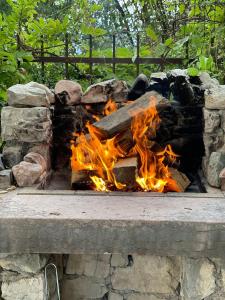 Φωτογραφία από το άλμπουμ του Casa Vacanze Mazurine10 σε Torri del Benaco