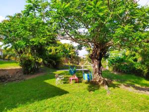 einen Tisch und Stühle unter einem Baum im Hof in der Unterkunft Studio Goyave in Ducos