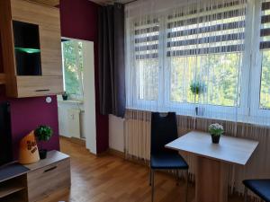 sala de estar con mesa y 2 ventanas en Monteurwohnung Mockau, en Leipzig