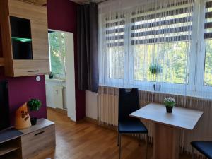 a living room with a table and two windows at Monteurwohnung Mockau in Leipzig