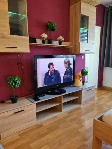 sala de estar con TV de pantalla plana en un centro de entretenimiento de madera en Monteurwohnung Mockau, en Leipzig