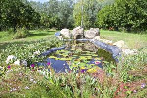 a pond with a bunch of lilies in a garden at Luna&Limoni Country in Muravera