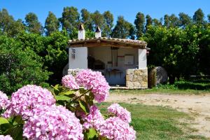 a small house with pink flowers in front of it at Luna&Limoni Country in Muravera