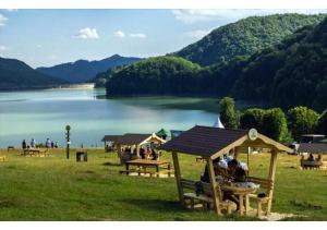 a group of people sitting on picnic tables near a lake at Casa Savu Secaria in Secăria