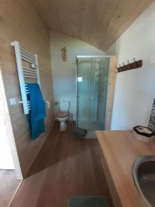 a bathroom with a shower and a toilet and a sink at Chalet grenouille Domaine de la Mamounette in Champclause