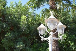 a street light with a palm tree in the background at Casa Rural " La Bruja " in Segorbe