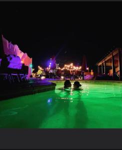 a couple of people swimming in a pool at night at MI KASA HOT SPRINGS 420,Adults Only, Clothing Optional in Desert Hot Springs