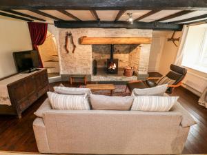 a living room with a couch and a fireplace at The Cwtch Tyn-y-Bettws Farm in Bettws