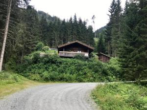 Príroda v okolí horskej chaty