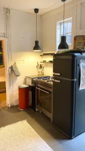 cocina con horno y fogones con 2 luces en Hygge Living - Heart of Copenhagen, en Copenhague