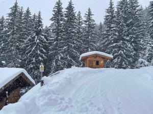 Wasserfallhütte Saalbach v zime
