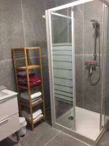 een badkamer met een douche en een glazen deur bij Montbard appartements au centre historique chez Delphine et Guillaume in Montbard