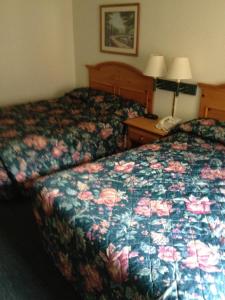 a hotel room with two beds and a phone at Hunter Lodge in Ripley