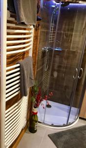 a shower with a glass door in a bathroom at Wasserfallhütte Saalbach in Saalbach Hinterglemm