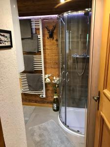 W łazience znajduje się prysznic ze szklanymi drzwiami. w obiekcie Wasserfallhütte Saalbach w Saalbach Hinterglemm