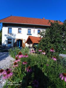 SędziszowaにあるAgroturystyka "Polna 17" Stajniaのギャラリーの写真