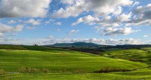 un champ vert avec des montagnes en arrière-plan dans l'établissement Agriturismo Bonello, à Pienza