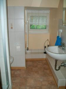 uma casa de banho com um lavatório e um chuveiro em Jägerlehrhof, Breiholz em Breiholz