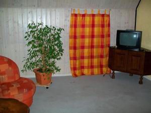 uma sala de estar com uma televisão e um vaso de plantas em Jägerlehrhof, Breiholz em Breiholz