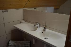 a bathroom with a sink and a mirror at Horský hotel Anděl in Andělská Hora