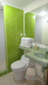 a green bathroom with a toilet and a sink at Mirador de San Jorge in Girardot
