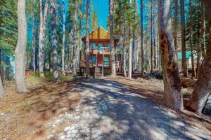 a house in the middle of a forest at Rustic Mountain Retreat in Soda Springs
