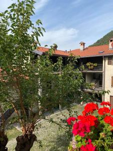 a garden with red flowers in front of a building at B&B La Corte del Segrino in Canzo