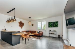 TV a/nebo společenská místnost v ubytování Premium apartman Lipno