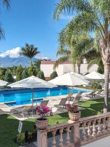 un complexe avec une piscine, des parasols et des palmiers dans l'établissement Hotel del Pescador, à Ajijic