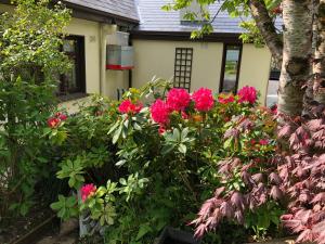 Κήπος έξω από το Dunaree Bed and Breakfast