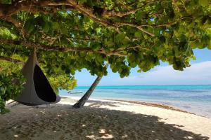 a hammock sitting under a tree on a beach at Villa Meheana in Moorea