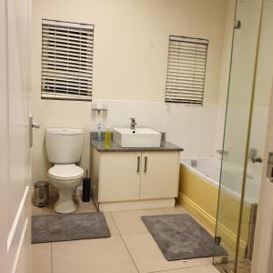 La salle de bains est pourvue de toilettes, d'un lavabo et d'une douche. dans l'établissement Verdant Valley Lodge, à Albert Falls