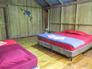 a bedroom with two beds and a bird flying overhead at Hotel Kangaroo y Restaurante in Río Dulce