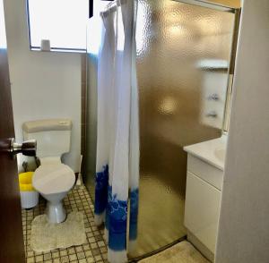 a bathroom with a toilet and a shower curtain at Geraldton Beachfront Villas in Geraldton
