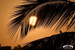 Fotografie z fotogalerie ubytování Cauvery Suites v destinaci Madikeri