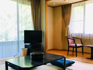 TV a/nebo společenská místnost v ubytování Lake Side Nikko Hotel
