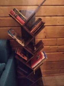 Biblioteka w domu wakacyjnym