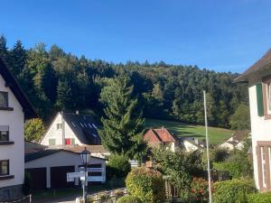 een klein dorpje met een berg op de achtergrond bij Ferienhaus Le Ruisseau in Badenweiler