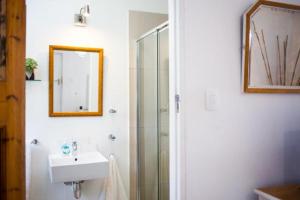a bathroom with a shower and a sink and a mirror at Radium Hall Guest House in Cape Town