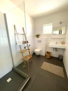 a bathroom with a glass shower and a toilet at Villa Bahia Blue in Kralendijk