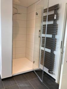 a shower with a glass door in a bathroom at Apartment Panoramablick in Bad Bergzabern