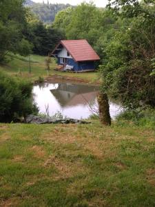 a house in a field with a pond in front at Gite Spa Détente Nature L'Estompe in Fresse