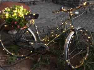 
a bicycle is parked next to a flower pot at Iason Hotel Apartments in Giosonas
