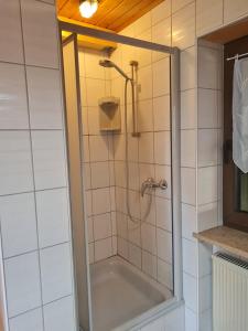 a shower with a glass door in a bathroom at Fifties Apartment Bechhofen in Bechhofen