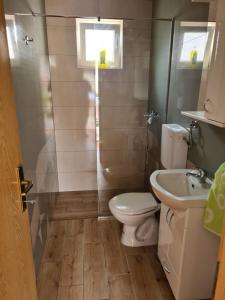 y baño con aseo y lavamanos. en Apartman Bubamara, en Arilje