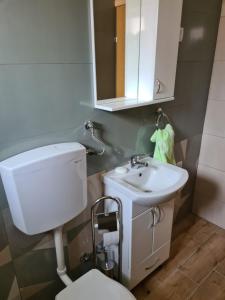 a bathroom with a white toilet and a sink at Apartman Bubamara in Arilje