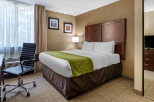 Ένα ή περισσότερα κρεβάτια σε δωμάτιο στο Comfort Inn Edison - New Brunswick