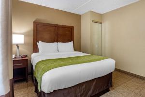 Ένα ή περισσότερα κρεβάτια σε δωμάτιο στο Comfort Inn Edison - New Brunswick