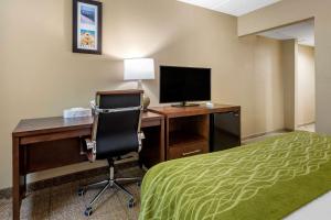 Μια τηλεόραση ή/και κέντρο ψυχαγωγίας στο Comfort Inn Edison - New Brunswick