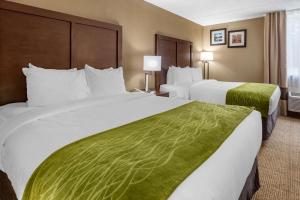 Ένα ή περισσότερα κρεβάτια σε δωμάτιο στο Comfort Inn Edison - New Brunswick